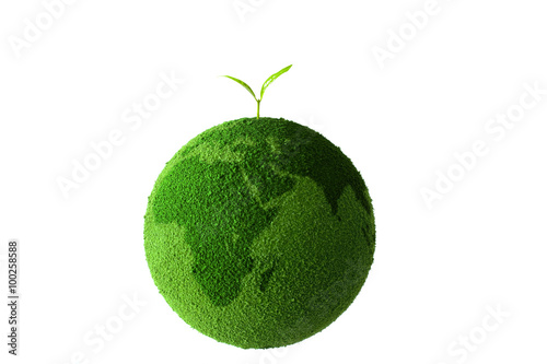 sprout on the green globe