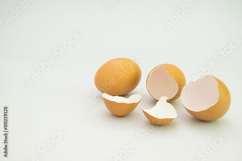Broken egg isolated