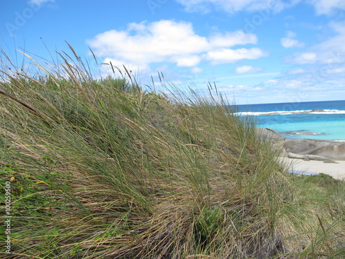 D’Entrecasteaux National Park, Western Australia photo