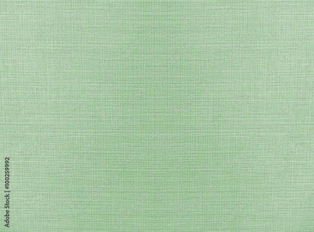 Fototapeta premium Light Green Abstract Recycle Paper Pattern on Lace Fabric Background Texture, Vintage Style