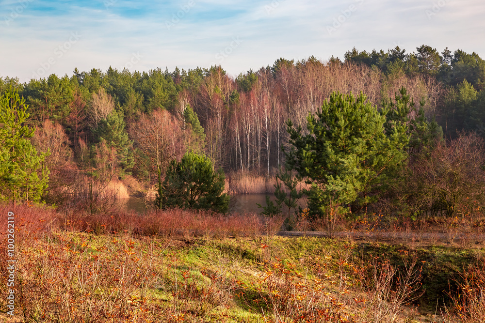 Fototapeta premium Jezioro przy lesie