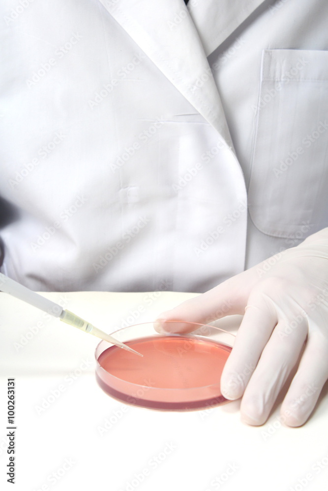 実験(主に微生物イメージ) 実験(主に微生物イメージ)