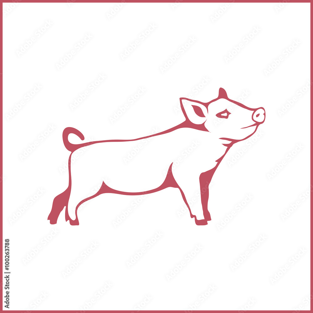 Pig logo.Vector 