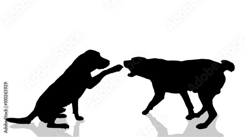 Vector dogs silhouette.