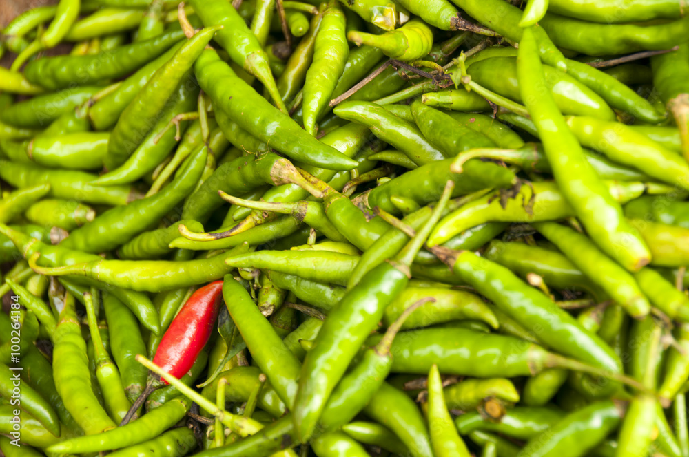 Red chilli among all others green Red chilli among all others green