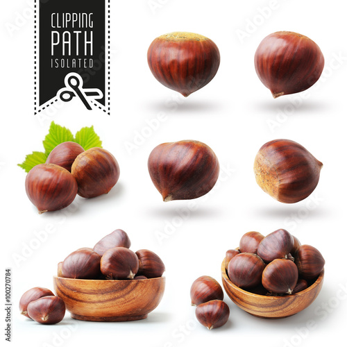 Isolated chestnut set with clipping path photo