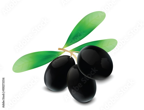olives for your design