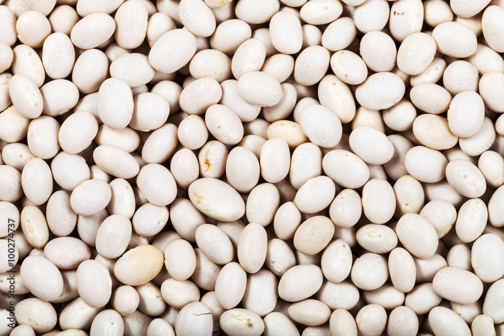 raw white haricot beans