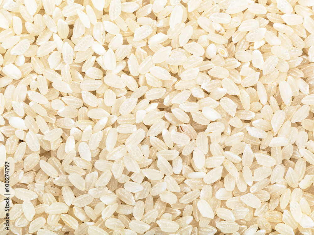 short-grain uncooked white Kuban rice close up short-grain uncooked white Kuban rice close up