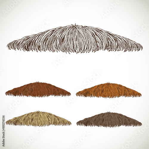 Mustache groomed in several colors set