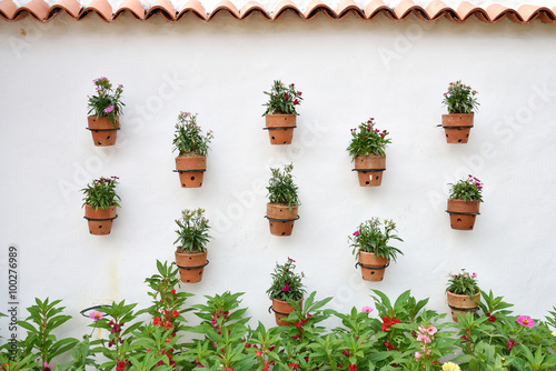 Fototapeta Naklejka Na Ścianę i Meble -  White wall with hanging flower pots