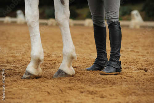 Horse legs and human legs photo