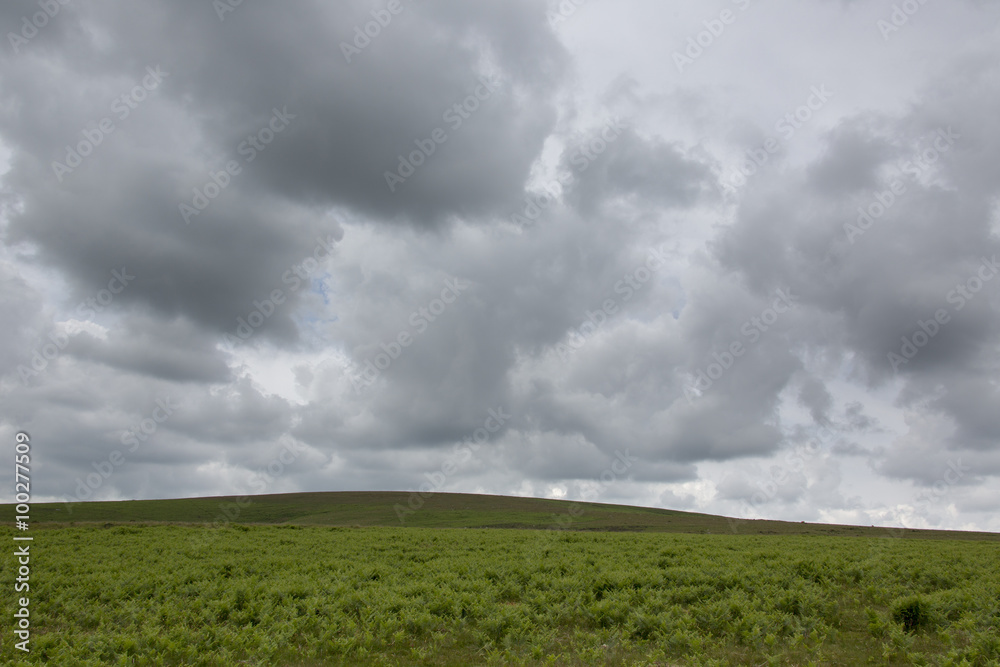 Dartmoor - Devon - England