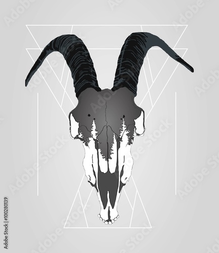 Goat  skull with forest