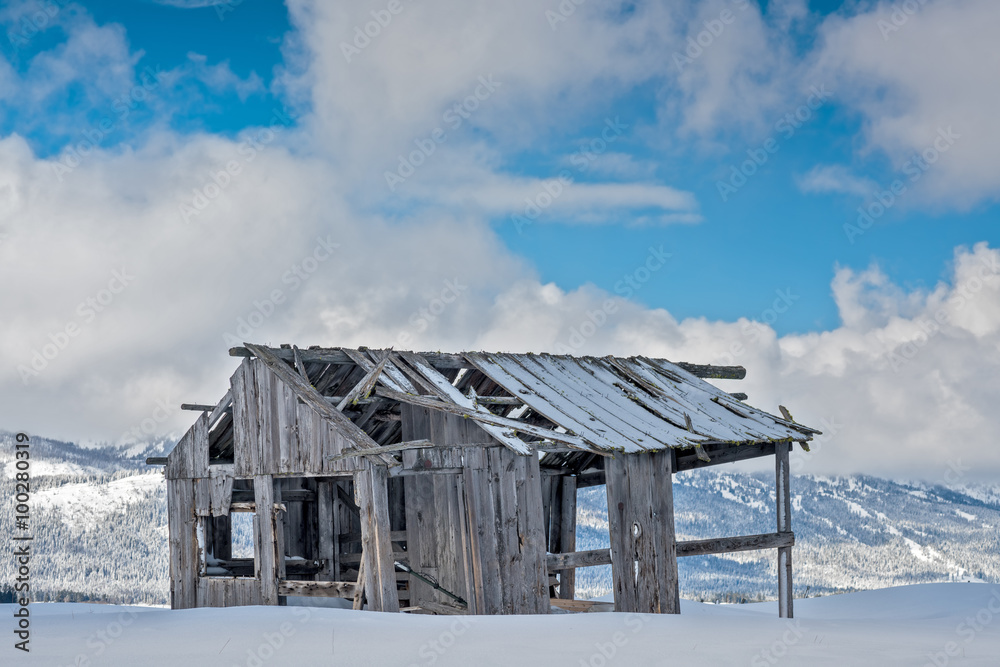 Rustic winter barn rotting in the snow mountains