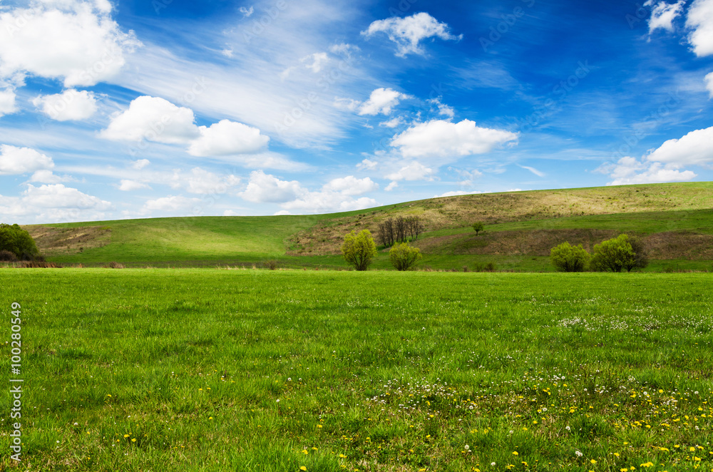 green field and blue sky