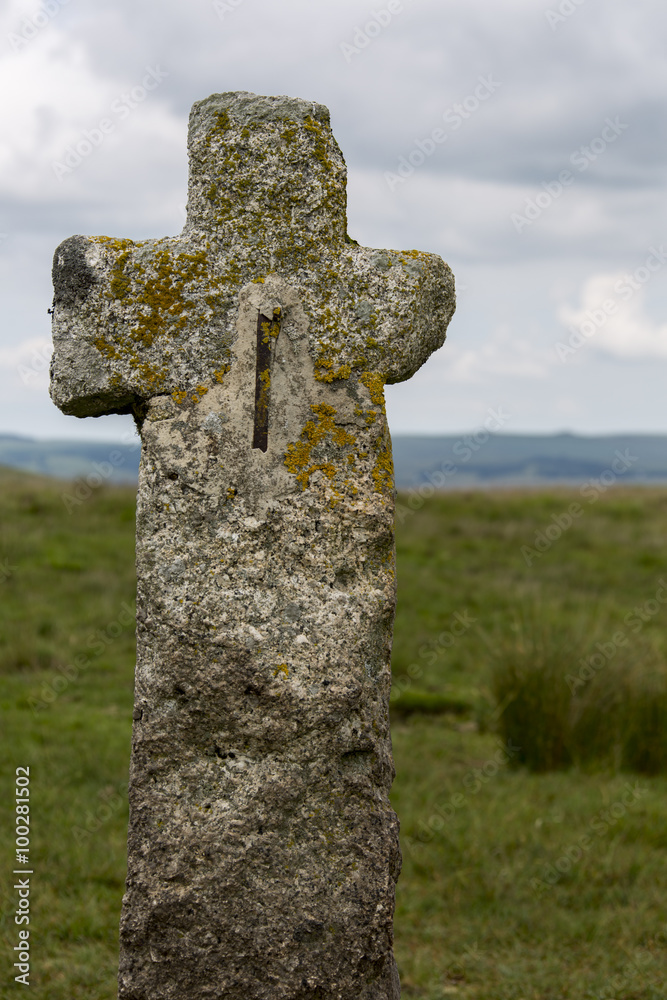 Dartmoor - Devon - England Dartmoor - Devon - England
