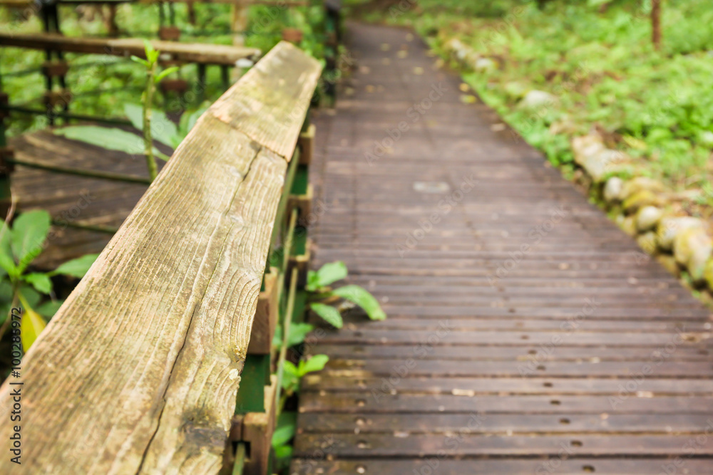Foggy tropical rain forest pathway trail (selective focus) Foggy tropical rain forest pathway trail (selective focus)