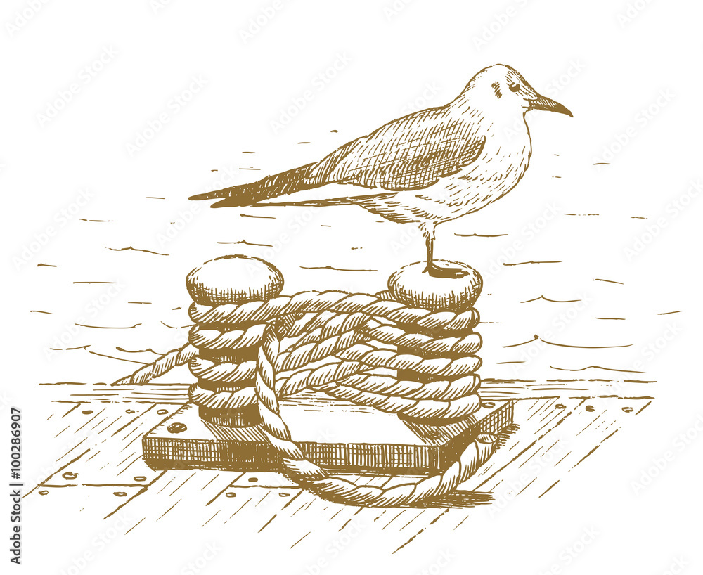 Fototapeta premium Seagull sitting on a bollard drawn by hand
