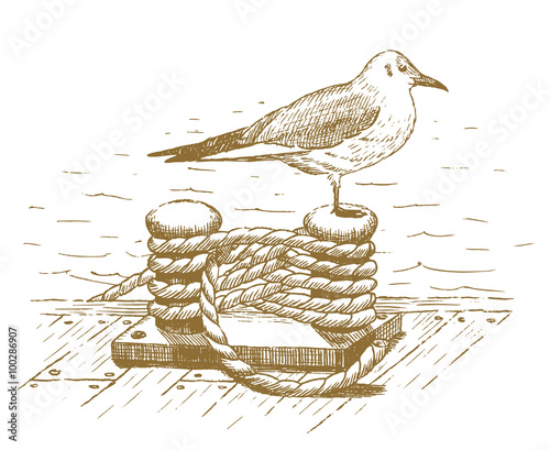 Seagull sitting on a bollard drawn by hand