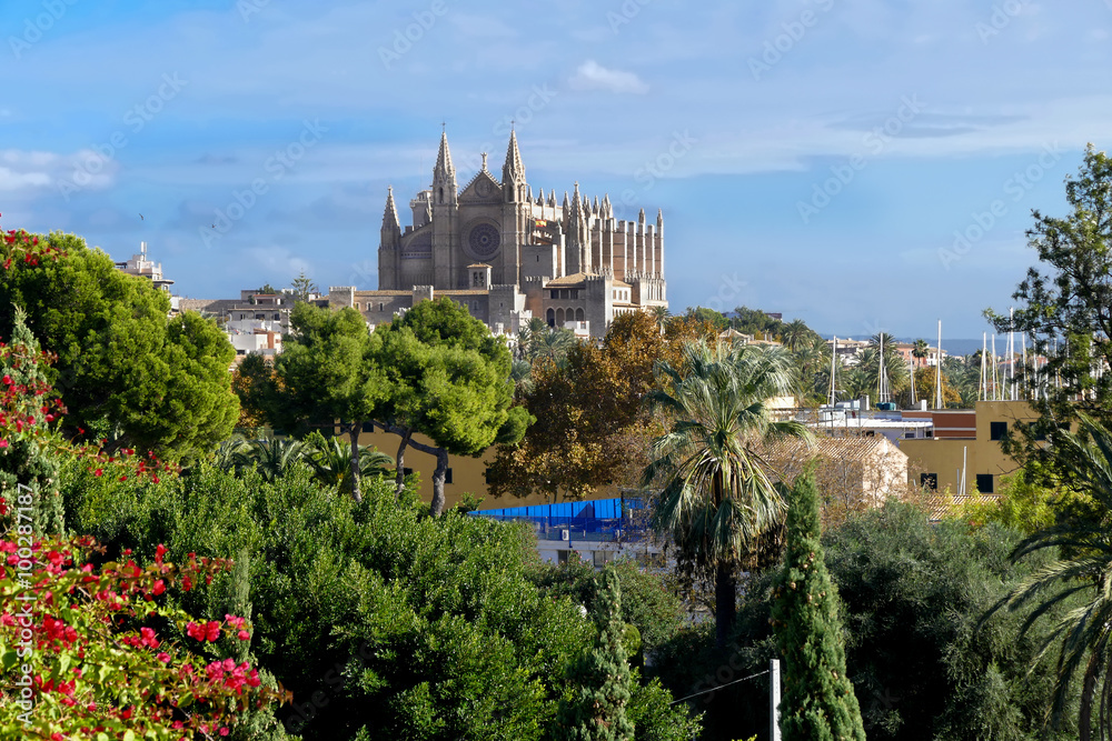 Blick von oben auf die Kathedrale von Palma de Mallorca