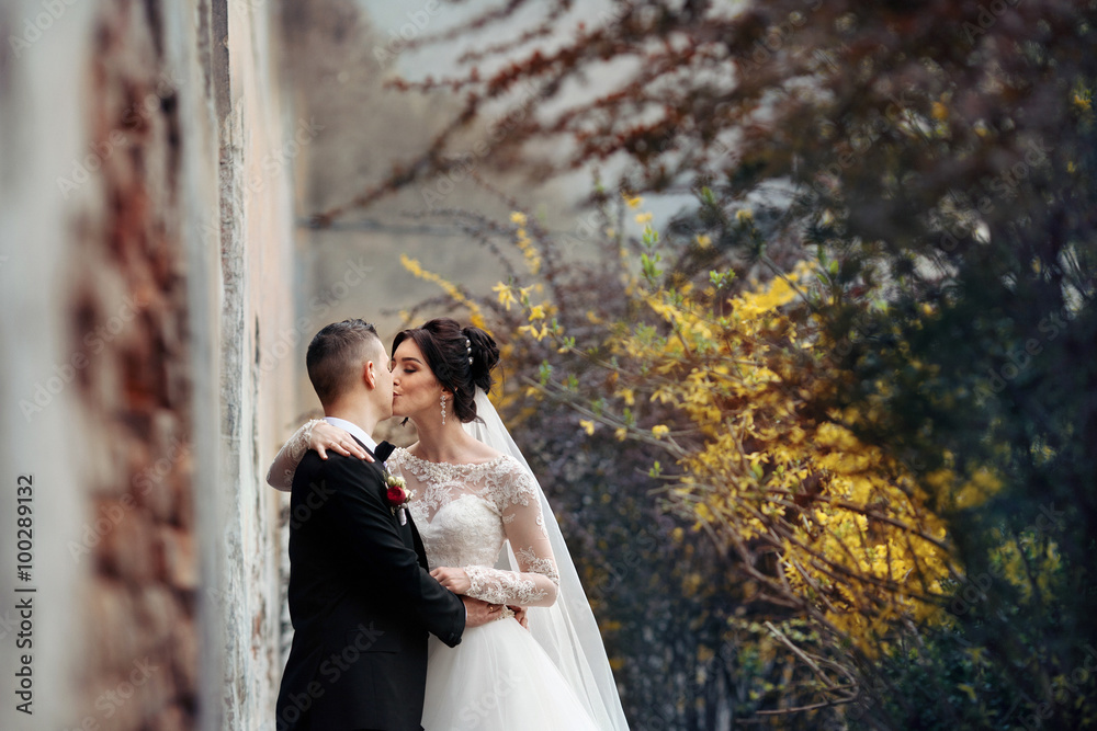 Bride and groom kissing and hugging near old building wall close