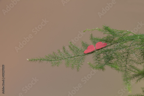 Red and Pink Heart Felt On Gray Background photo