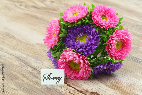 Sorry card with colorful aster flower bouquet on wooden surface 