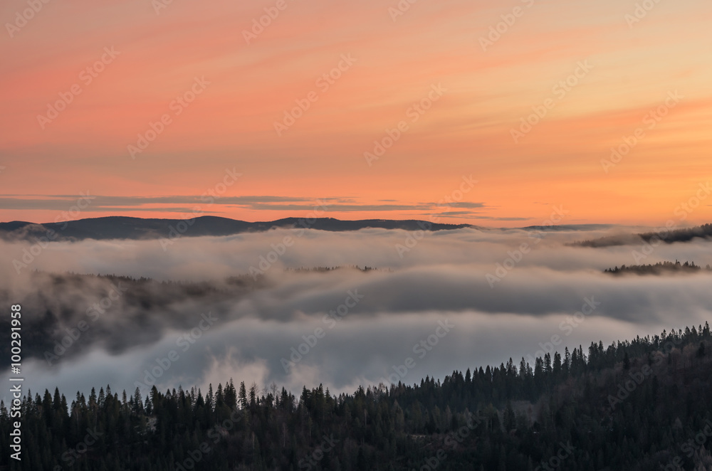 Fototapeta premium Carpathian mountains in the clouds, sunrise seen from Wysoka mountain in Pieniny, Poland