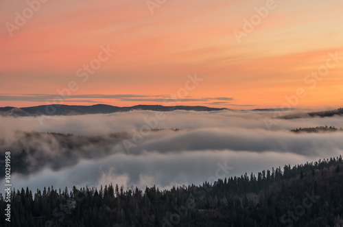 Carpathian mountains in the clouds  sunrise seen from Wysoka mountain in Pieniny  Poland