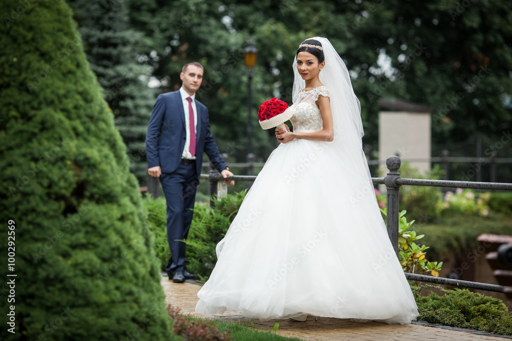 Newlywed valentynes posing in a romantic european park with rose Newlywed valentynes posing in a romantic european park with rose