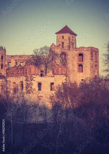 Ruins of medieval castle Teczyn in Rudno, Poland, in the evening photo