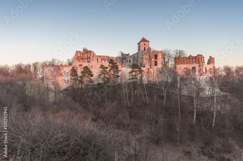Ruins of medieval castle Teczyn in Rudno, Poland, in the evening photo