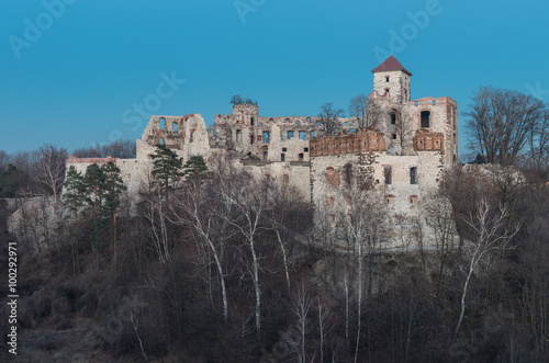 Ruins of medieval castle Teczyn in Rudno, Poland, in the evening photo