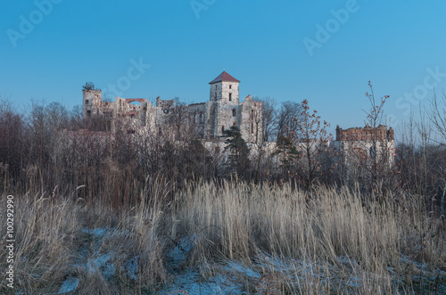 Ruins of medieval castle Teczyn in Rudno, Poland, in the evening photo
