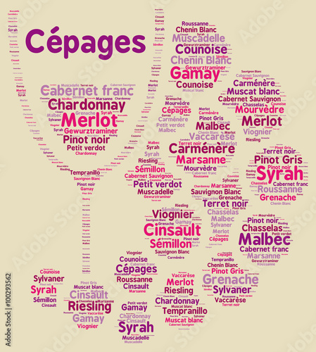 Billede på lærred Varietal of grapes in France word cloud