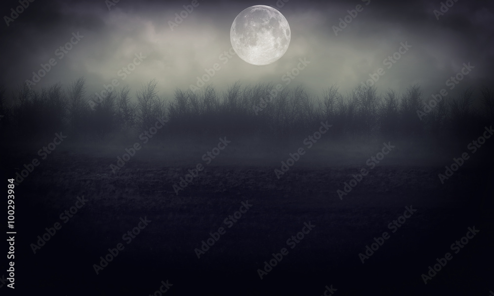 Night Forest With Moon   Abstract Background.	