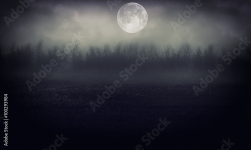 Night Forest With Moon Abstract Background. 