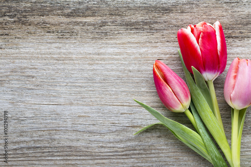 Tulips on the wooden background.