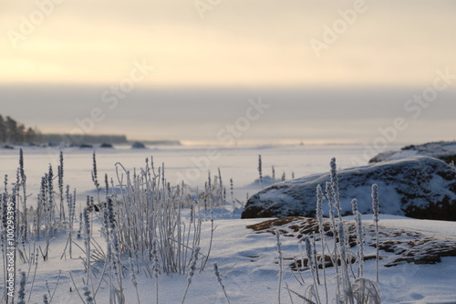 Landscape from Finland. Freezing weather at winter. © Lasse Hendriks