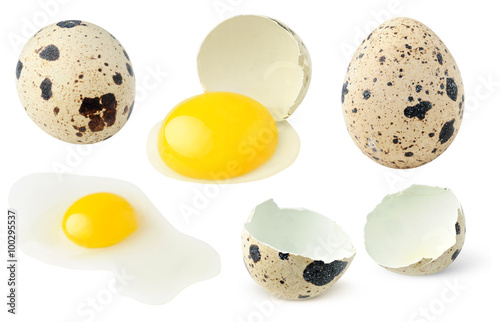 Whole and broken quail eggs collection