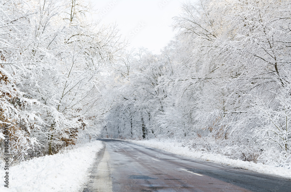 Obraz premium Snowy winter road