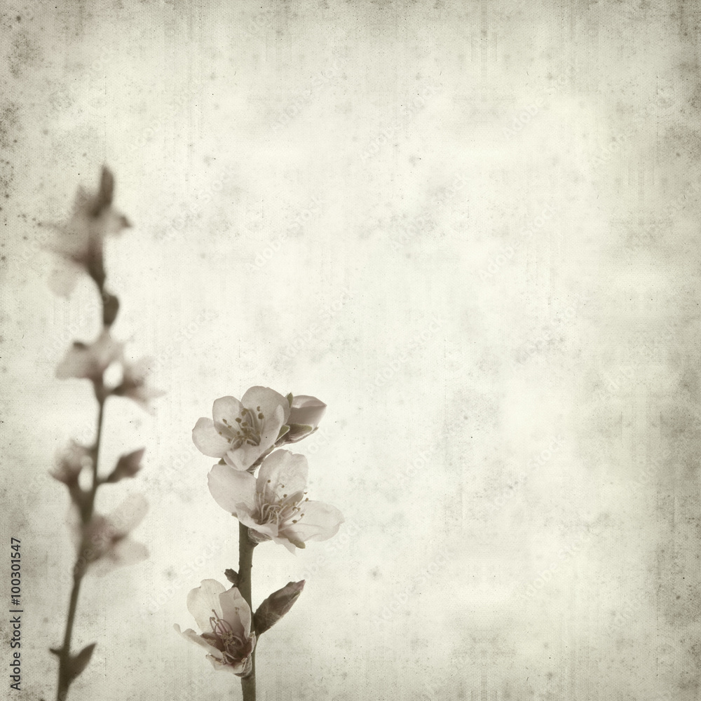 textured old paper background textured old paper background