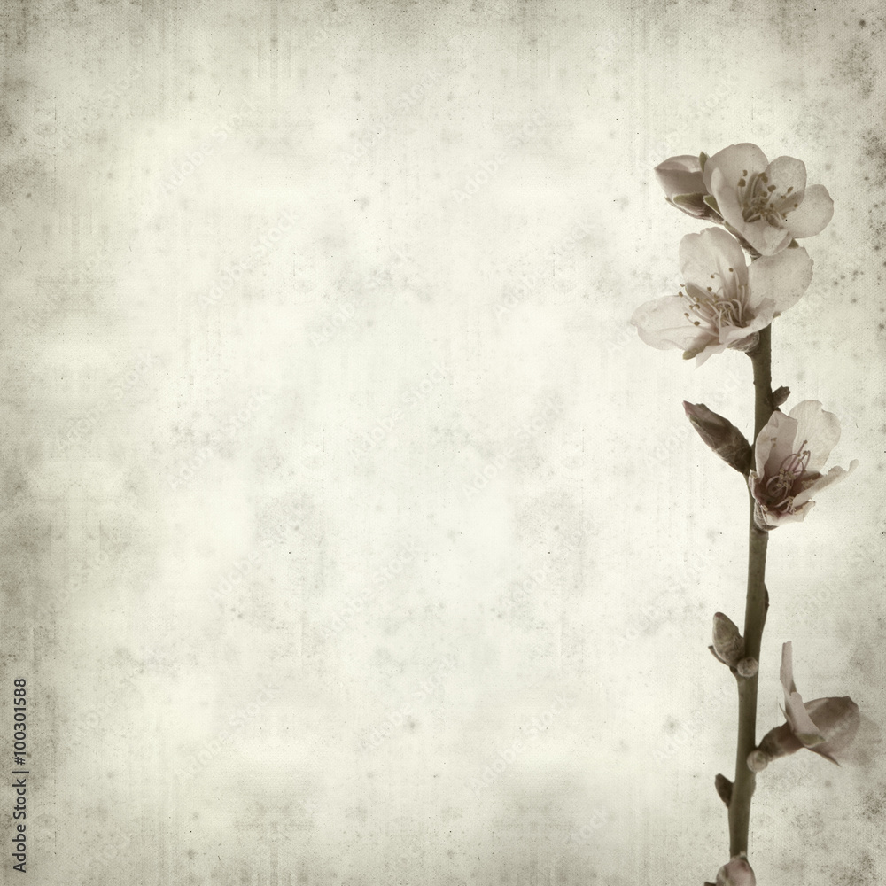textured old paper background textured old paper background