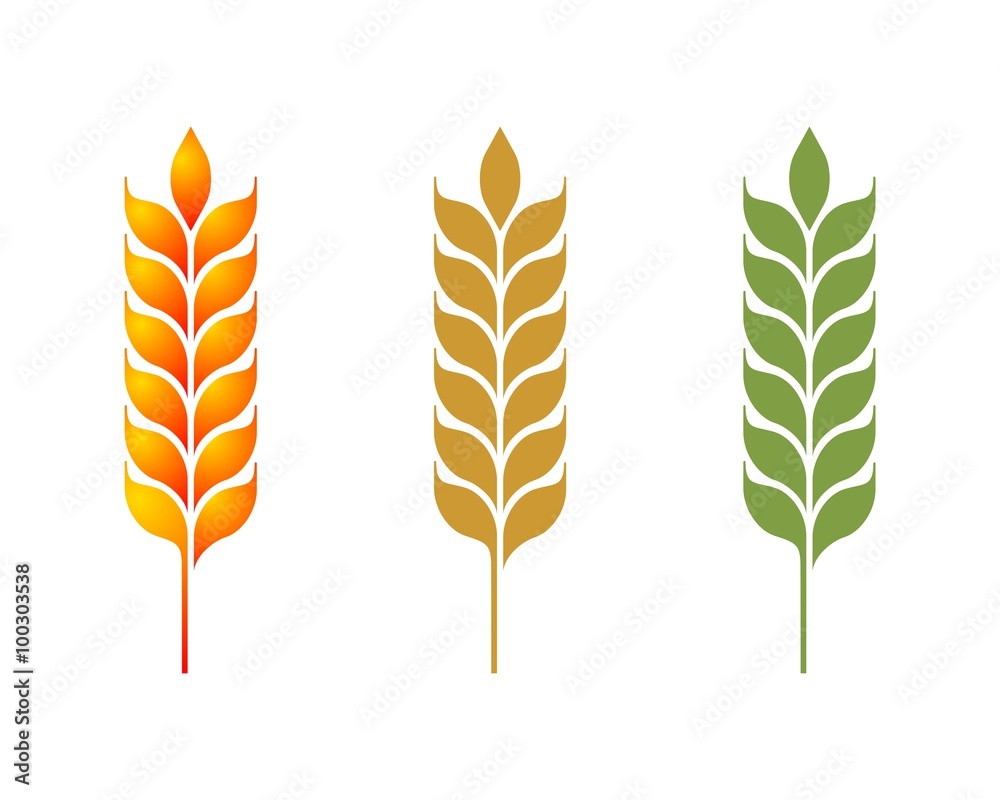 Wheat Leaves