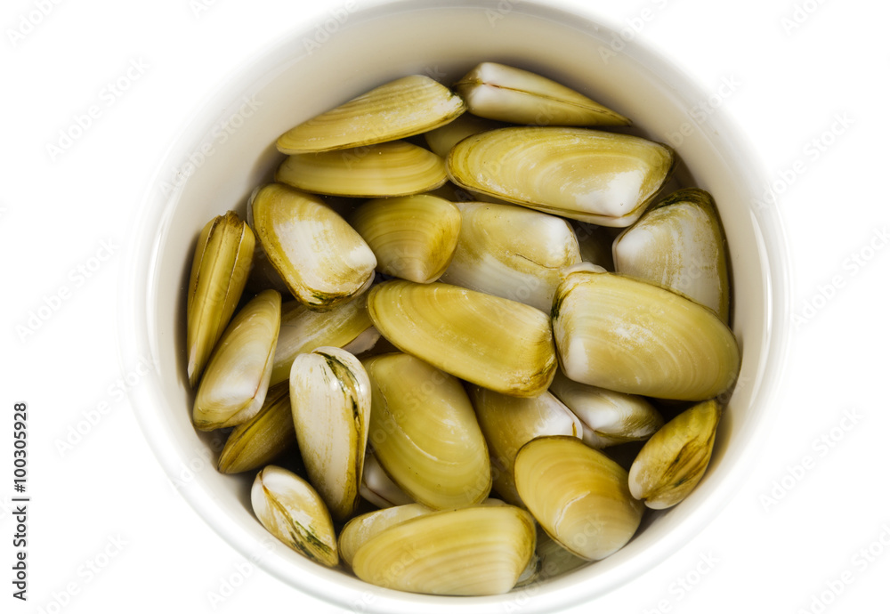 Pipis Clams Pipis Clams