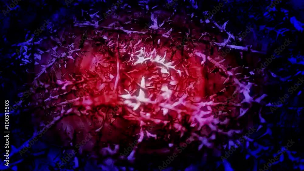 Abstract visualization of a colorful patch of thorns.