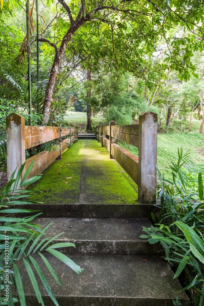 Cement bridge full with moss in garden