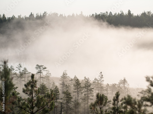 intense morning fog © Maslov Dmitry