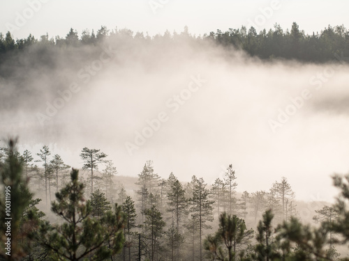 intense morning fog